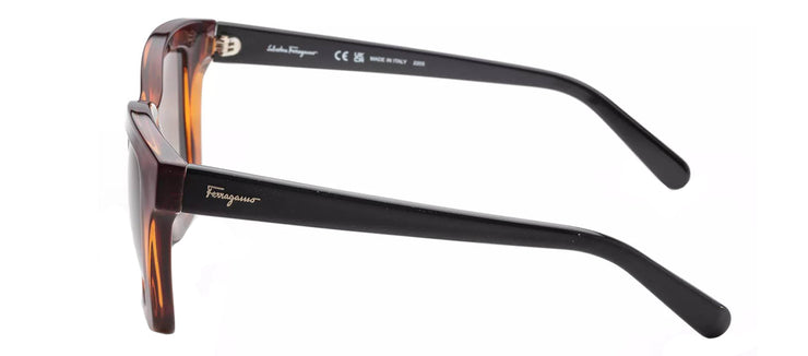 Ferragamo SF955S 214 Cat Eye Sunglasses