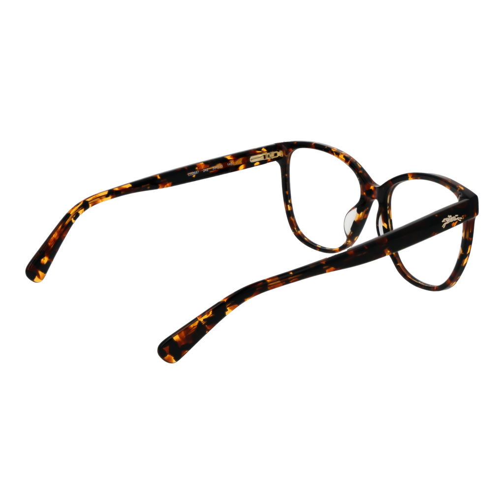 Brown/Demo glasses