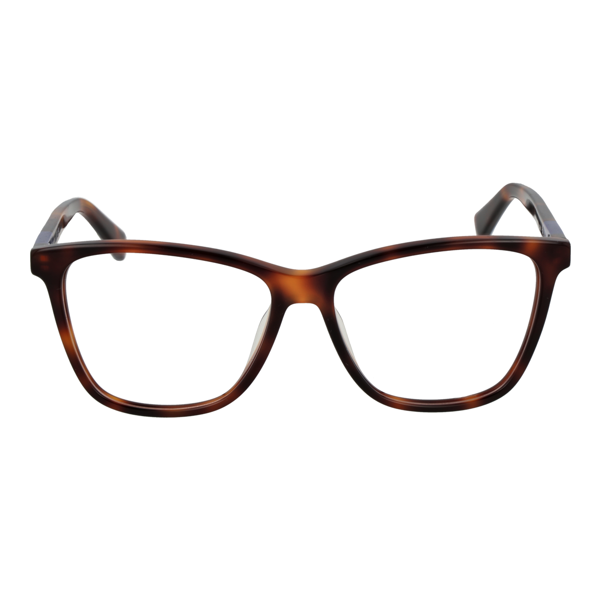 Brown/Demo glasses