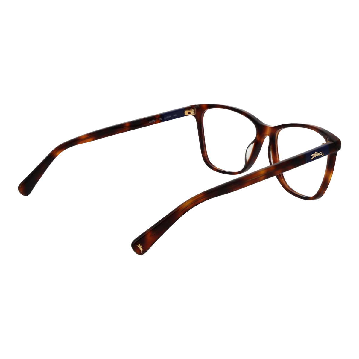 Brown/Demo glasses