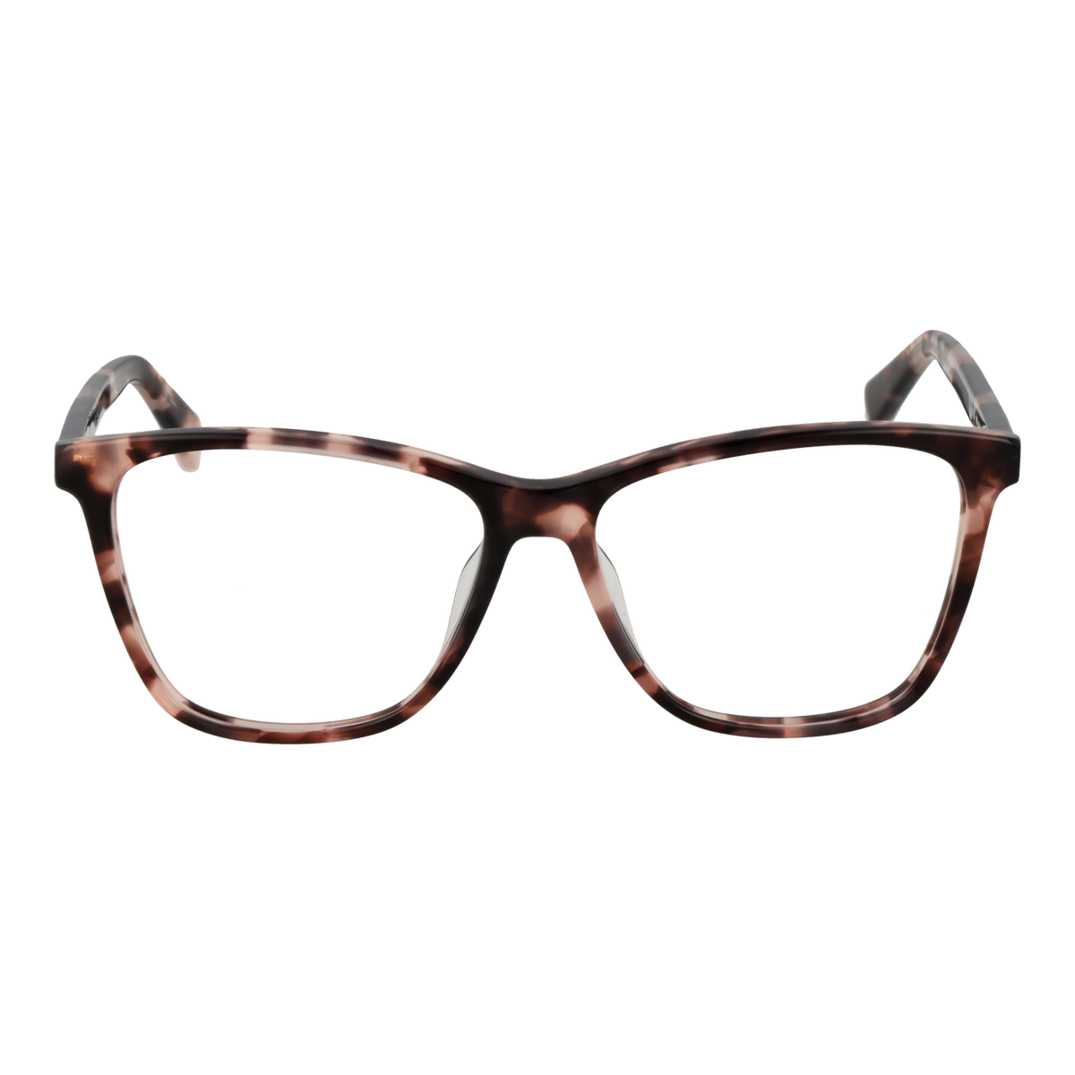 Brown/Demo glasses