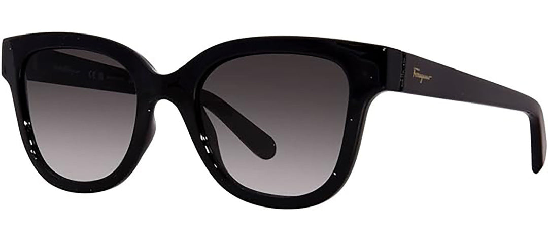 Ferragamo SF1066S 001 Square Sunglasses