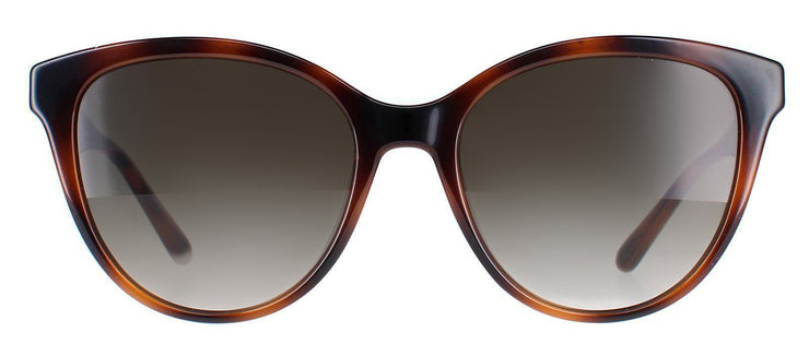 Ferragamo SF1073S 240 Cat Eye Sunglasses