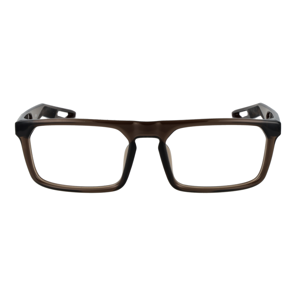 Brown/Demo glasses