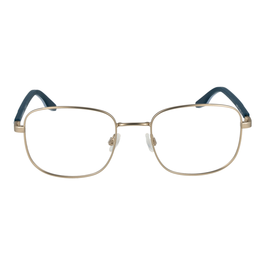 Gold/Demo glasses