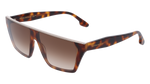 Brown / Brown