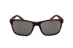 SE6049 Front