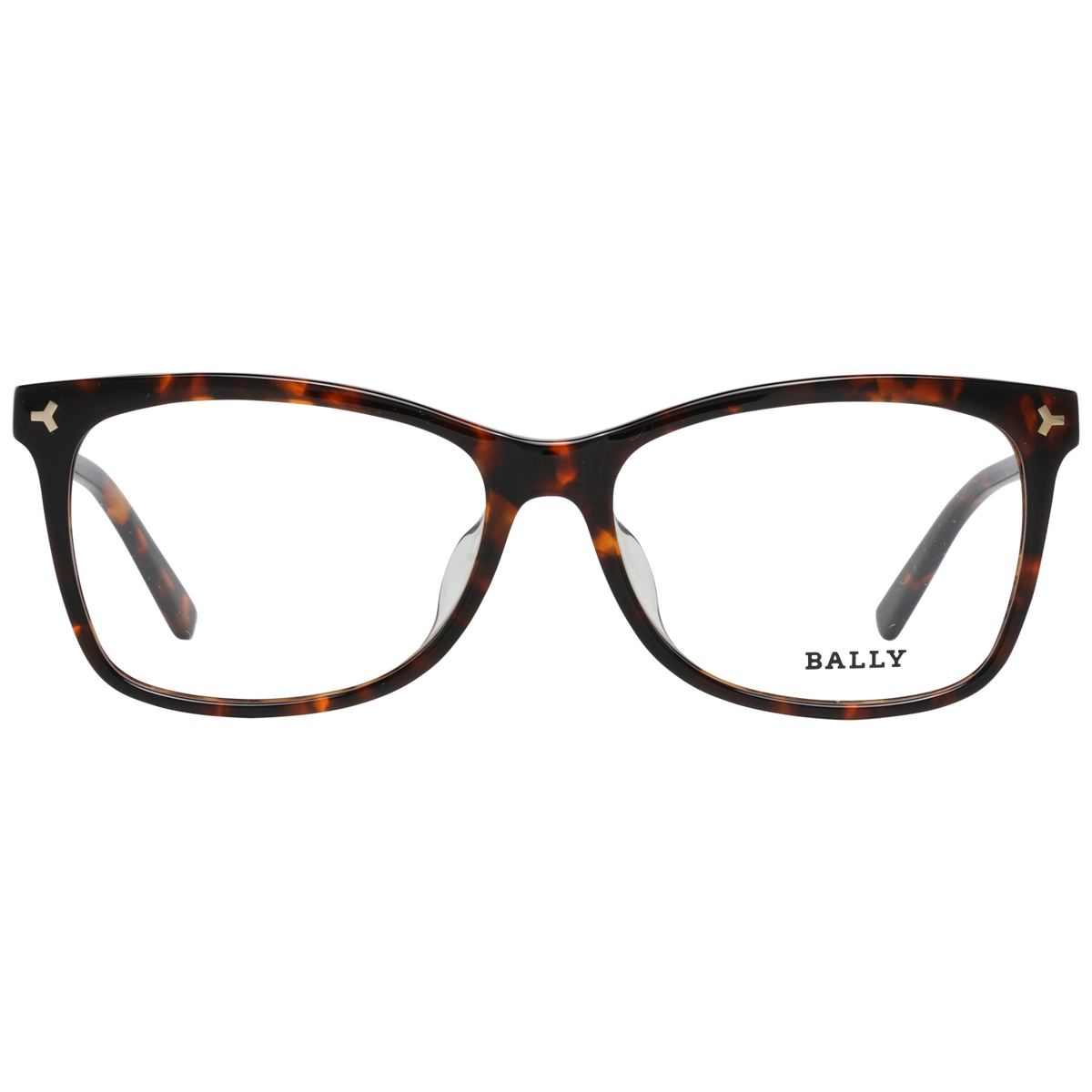 Brown/Demo glasses