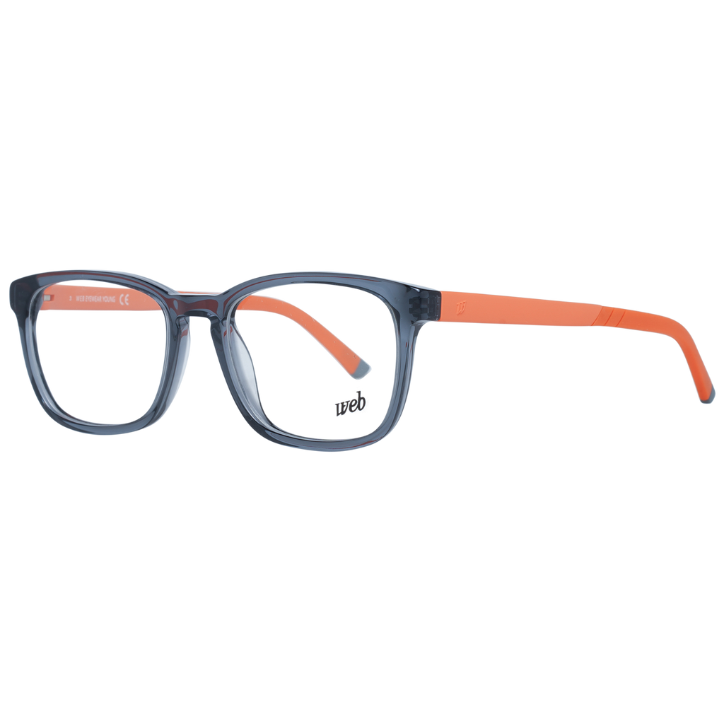 Grey/Demo glasses