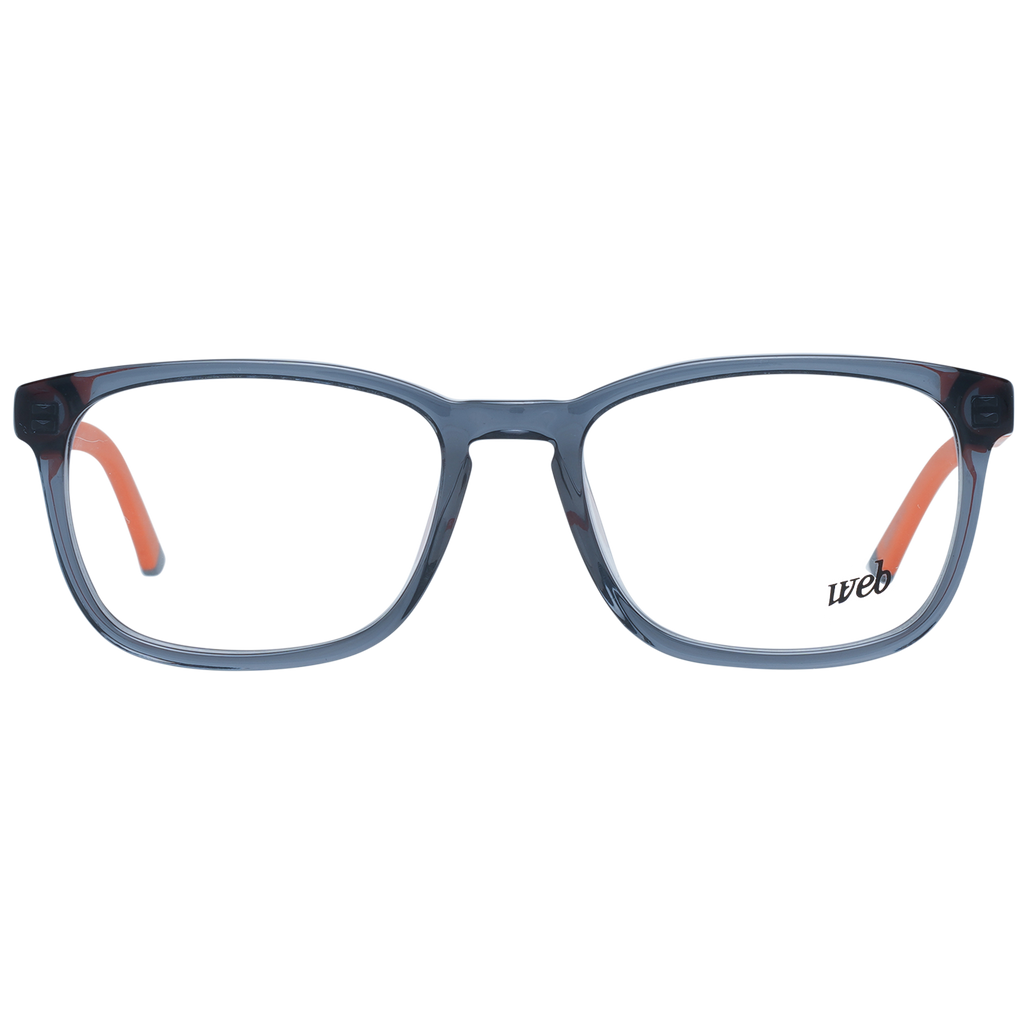 Grey/Demo glasses