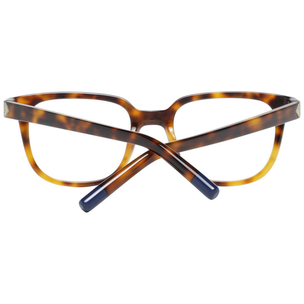 Brown/Demo glasses