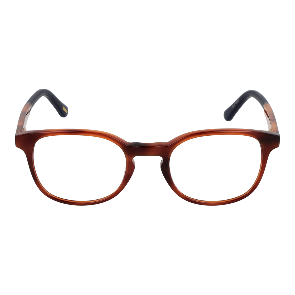 Brown/Demo glasses