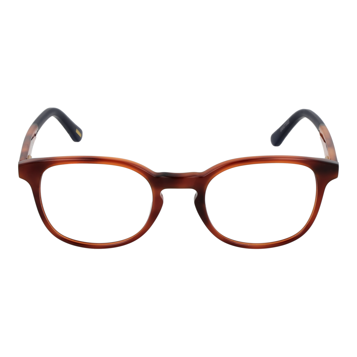 Brown/Demo glasses