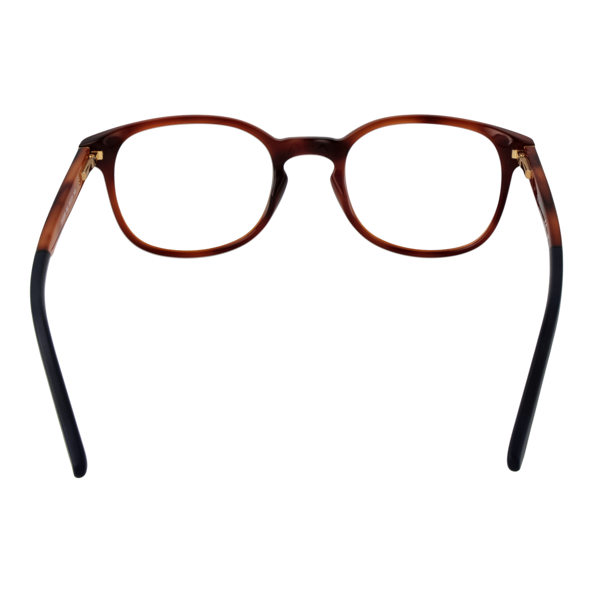 Brown/Demo glasses