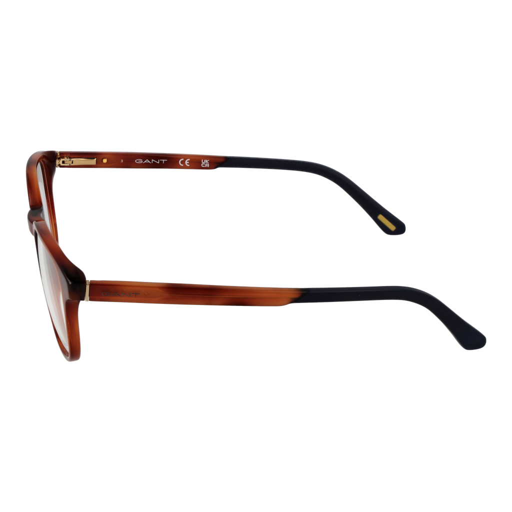 Brown/Demo glasses