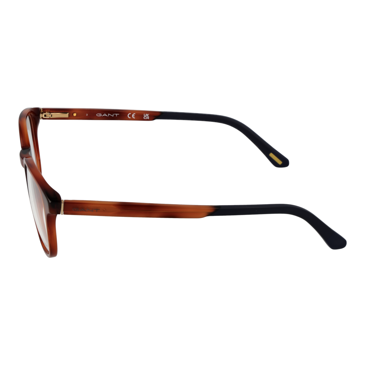 Brown/Demo glasses
