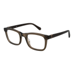 Brown/Demo glasses