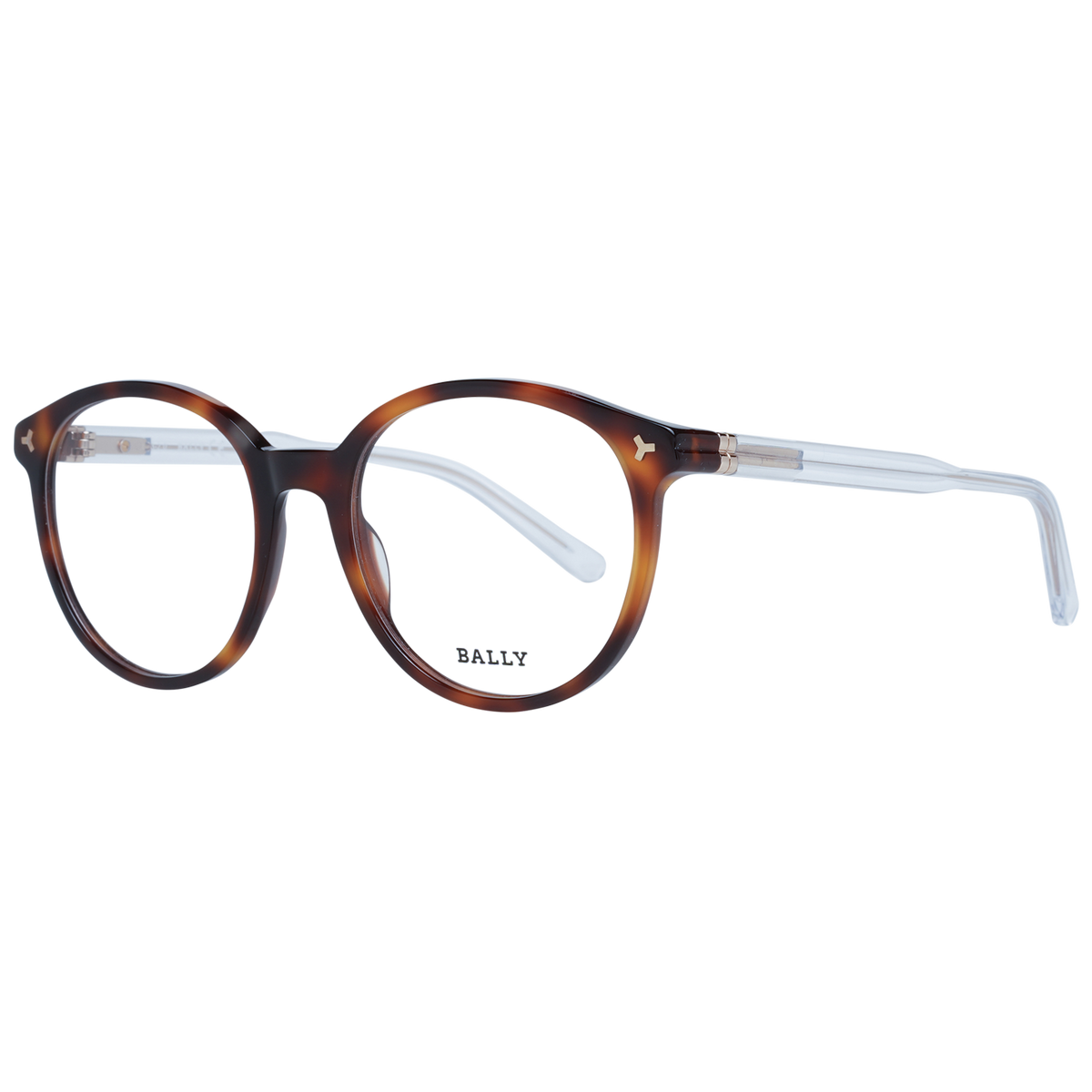 Brown/Demo glasses