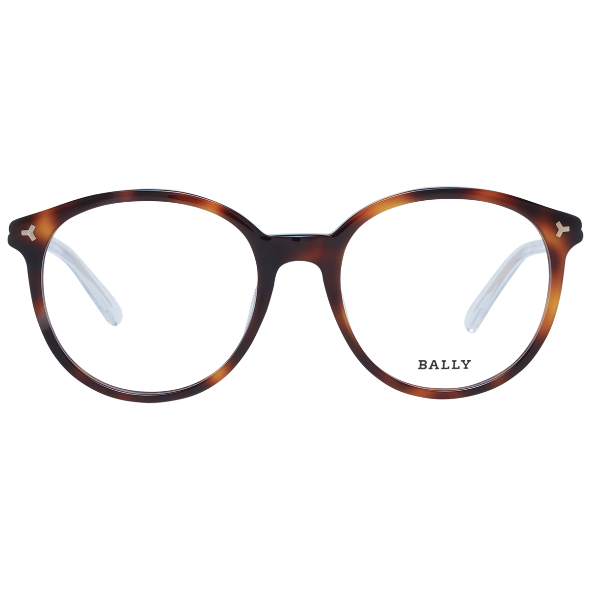 Brown/Demo glasses