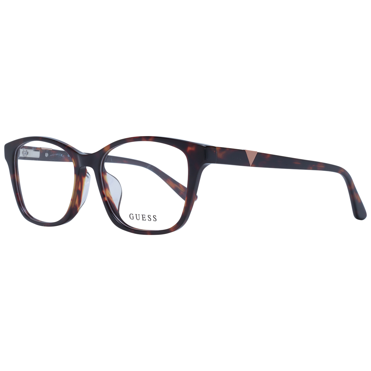 Brown/Demo glasses