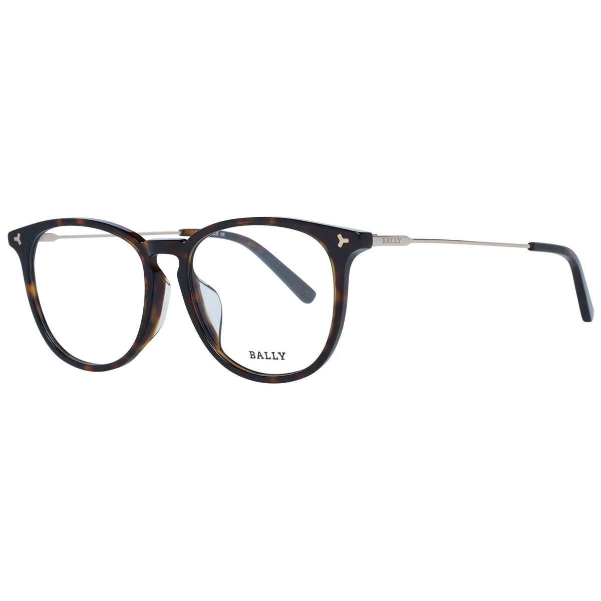 Brown/Demo glasses
