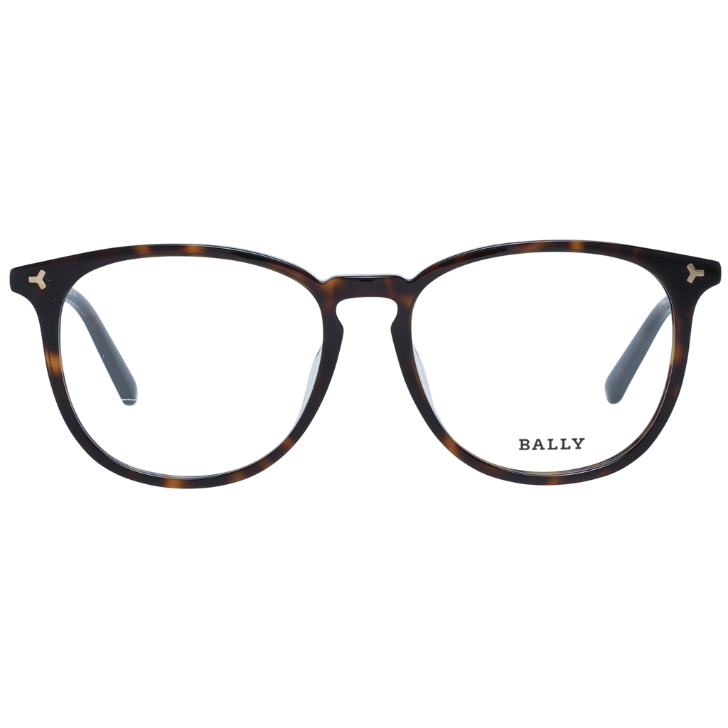 Brown/Demo glasses