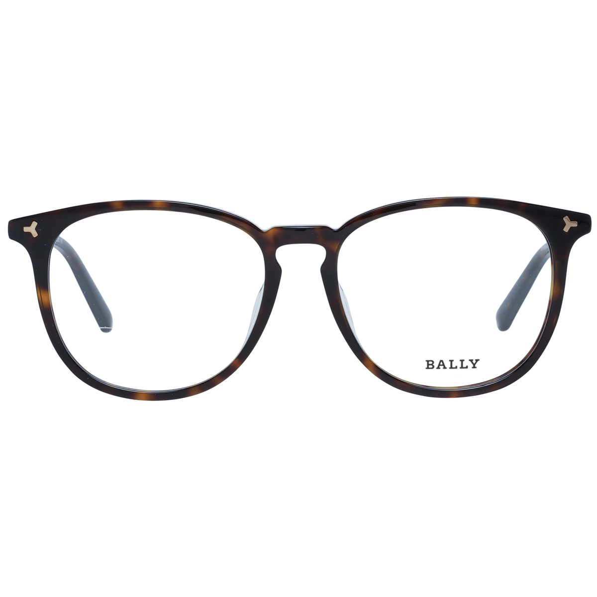 Brown/Demo glasses
