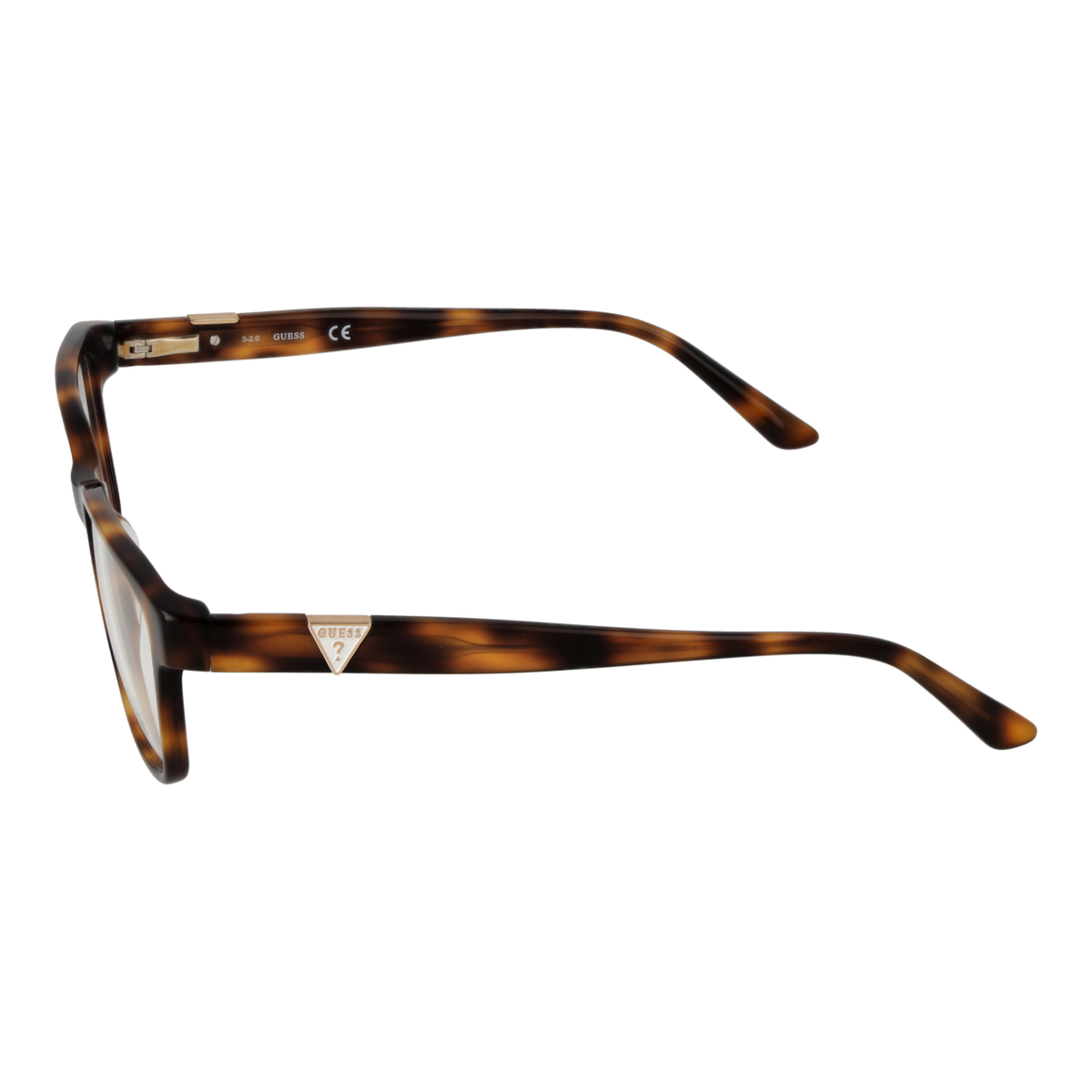 Brown/Demo glasses