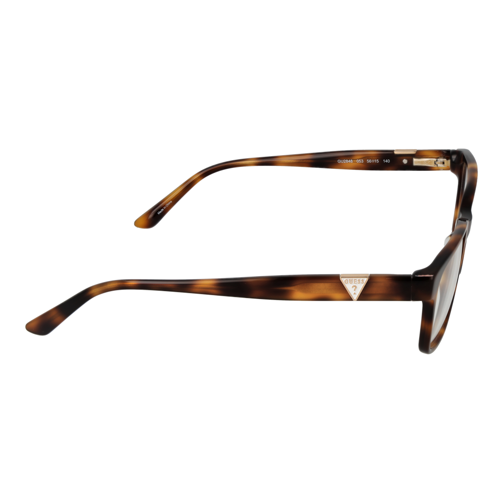 Brown/Demo glasses