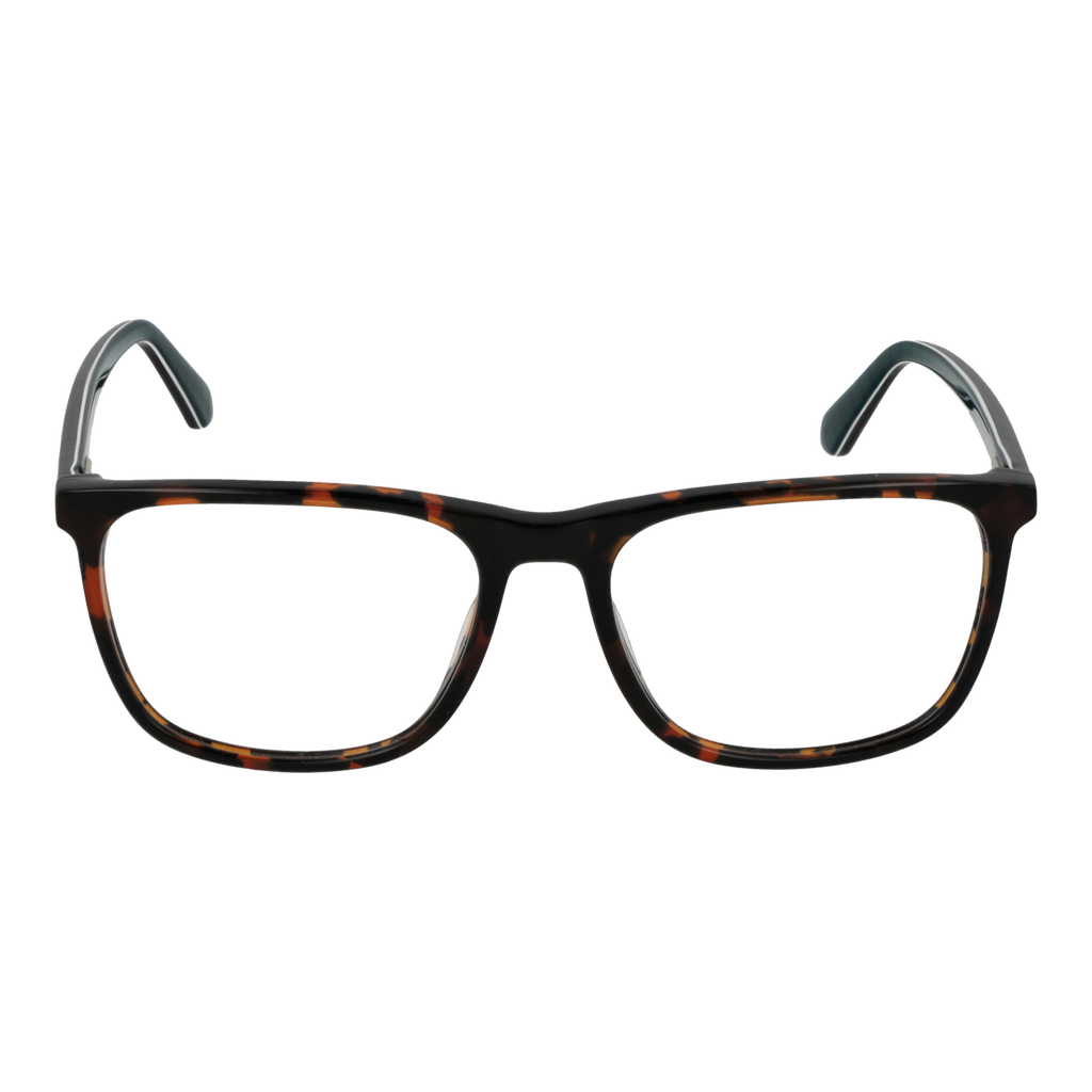 Brown/Demo glasses