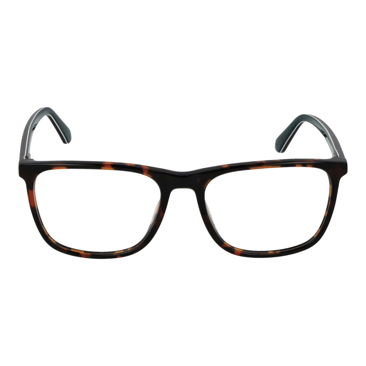Brown/Demo glasses