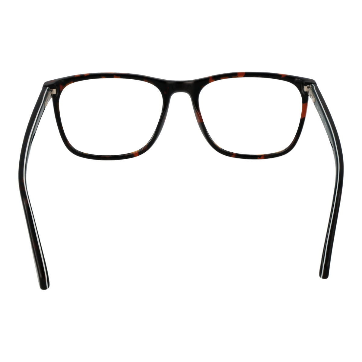 Brown/Demo glasses