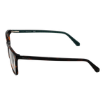Brown/Demo glasses
