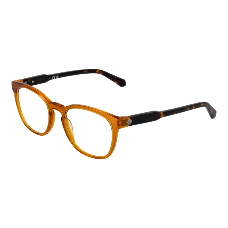 Brown/Demo glasses