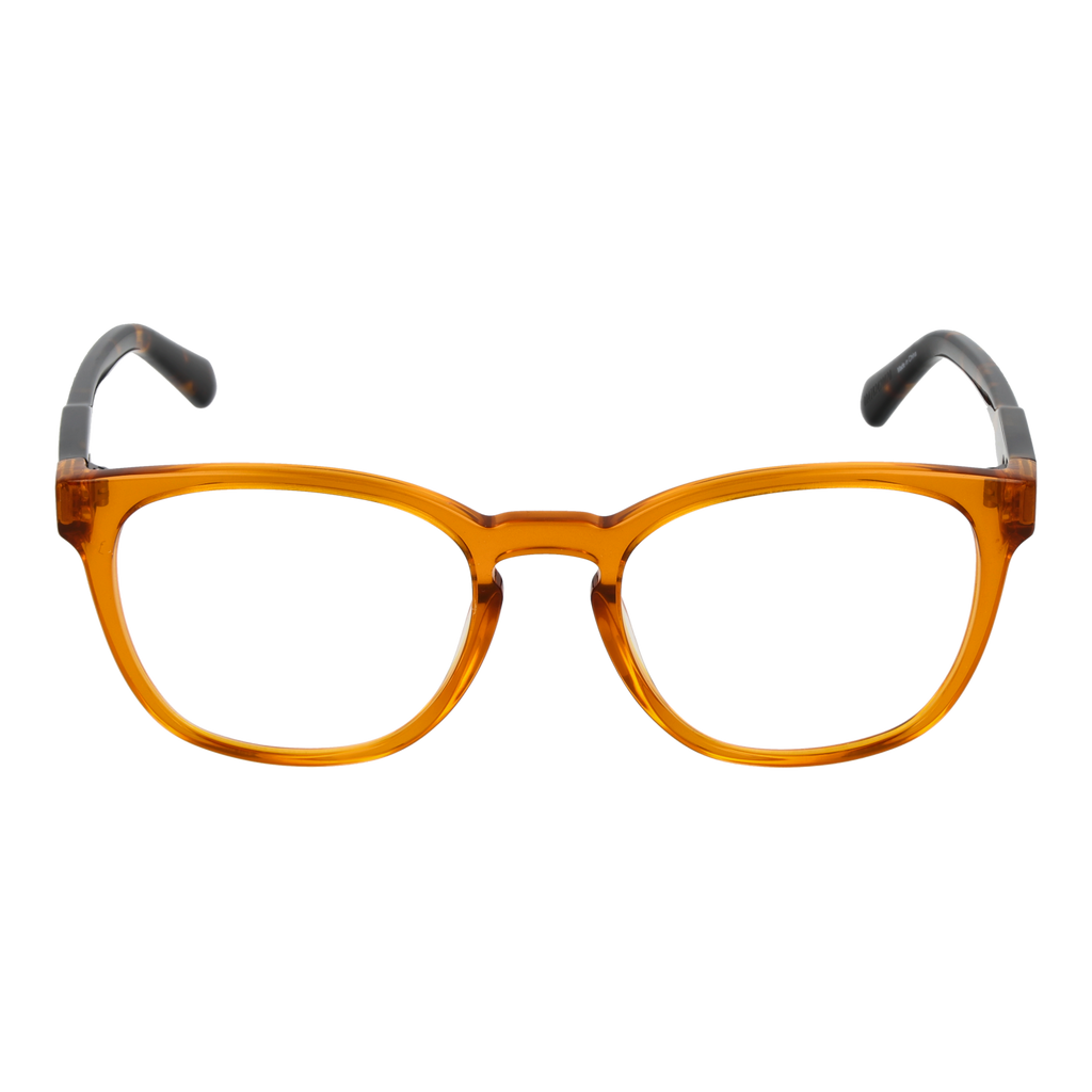 Brown/Demo glasses