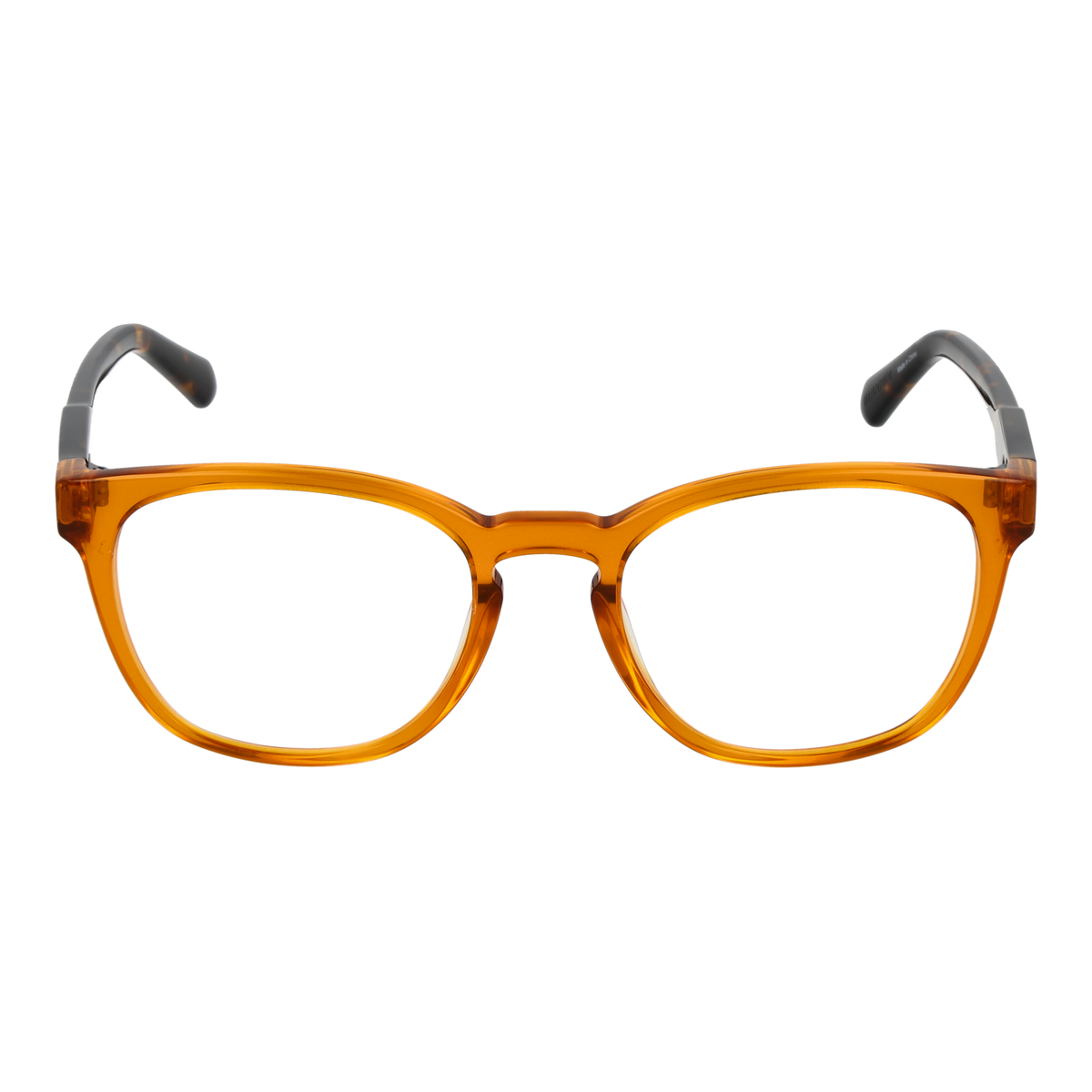 Brown/Demo glasses