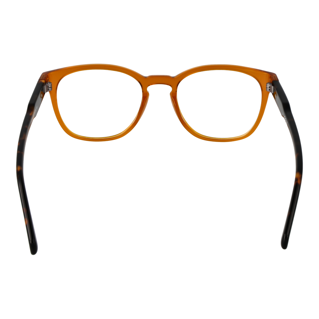 Brown/Demo glasses