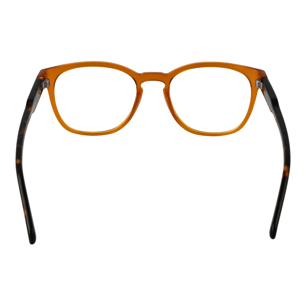 Brown/Demo glasses