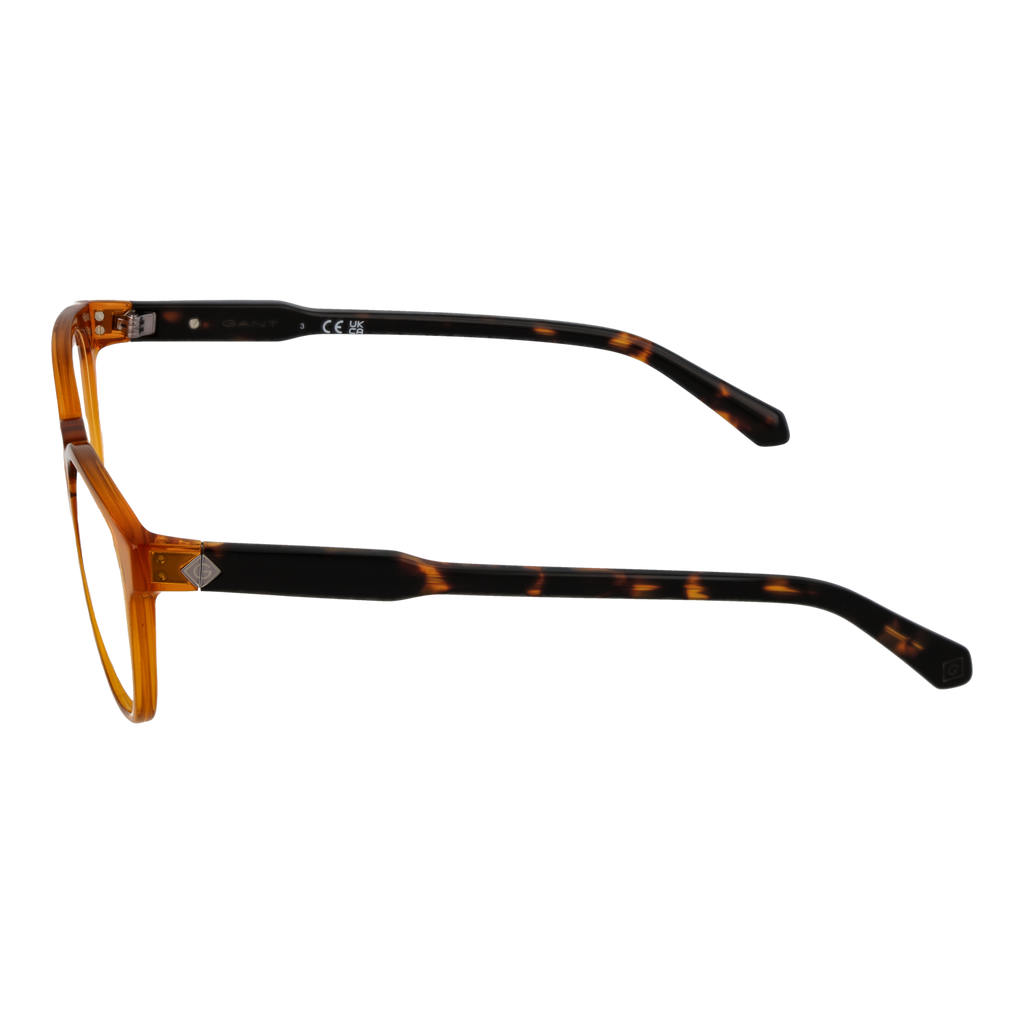 Brown/Demo glasses