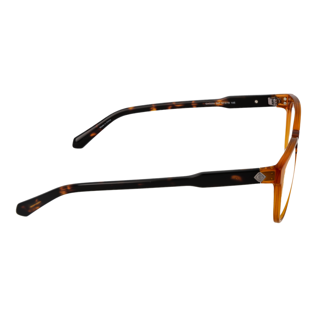 Brown/Demo glasses