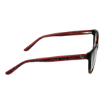 Brown/Demo glasses