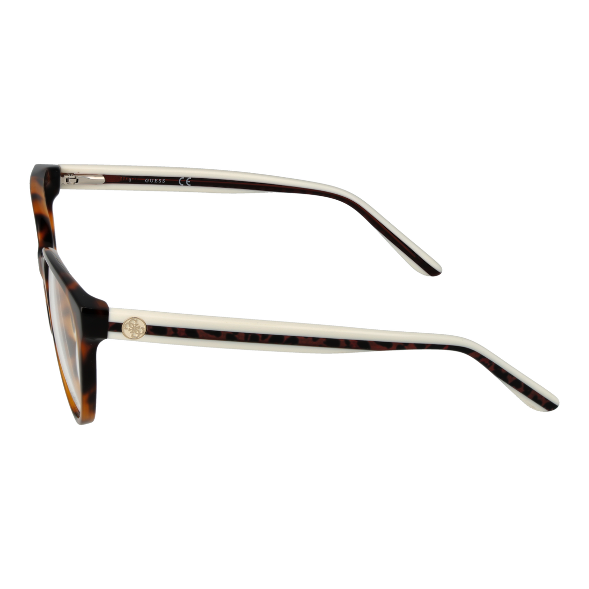 Brown/Demo glasses