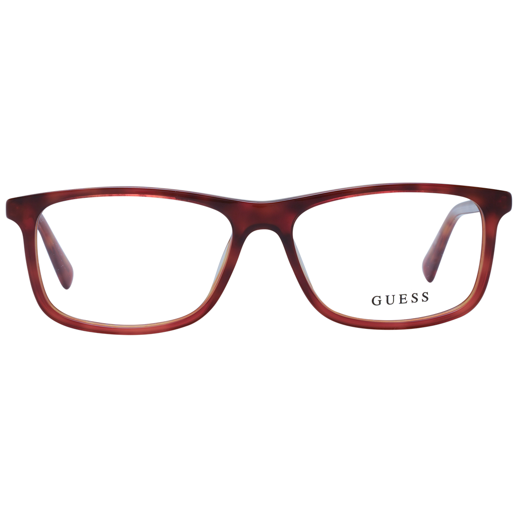 Brown/Demo glasses