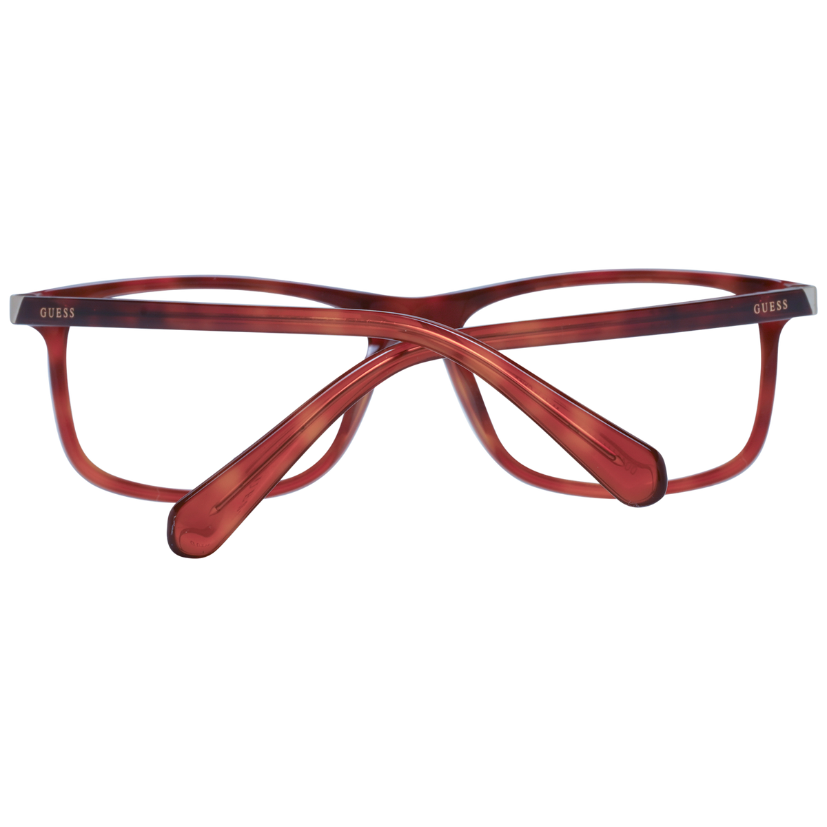 Brown/Demo glasses