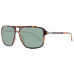 Brown / Clear