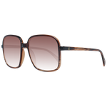 Brown / Clear