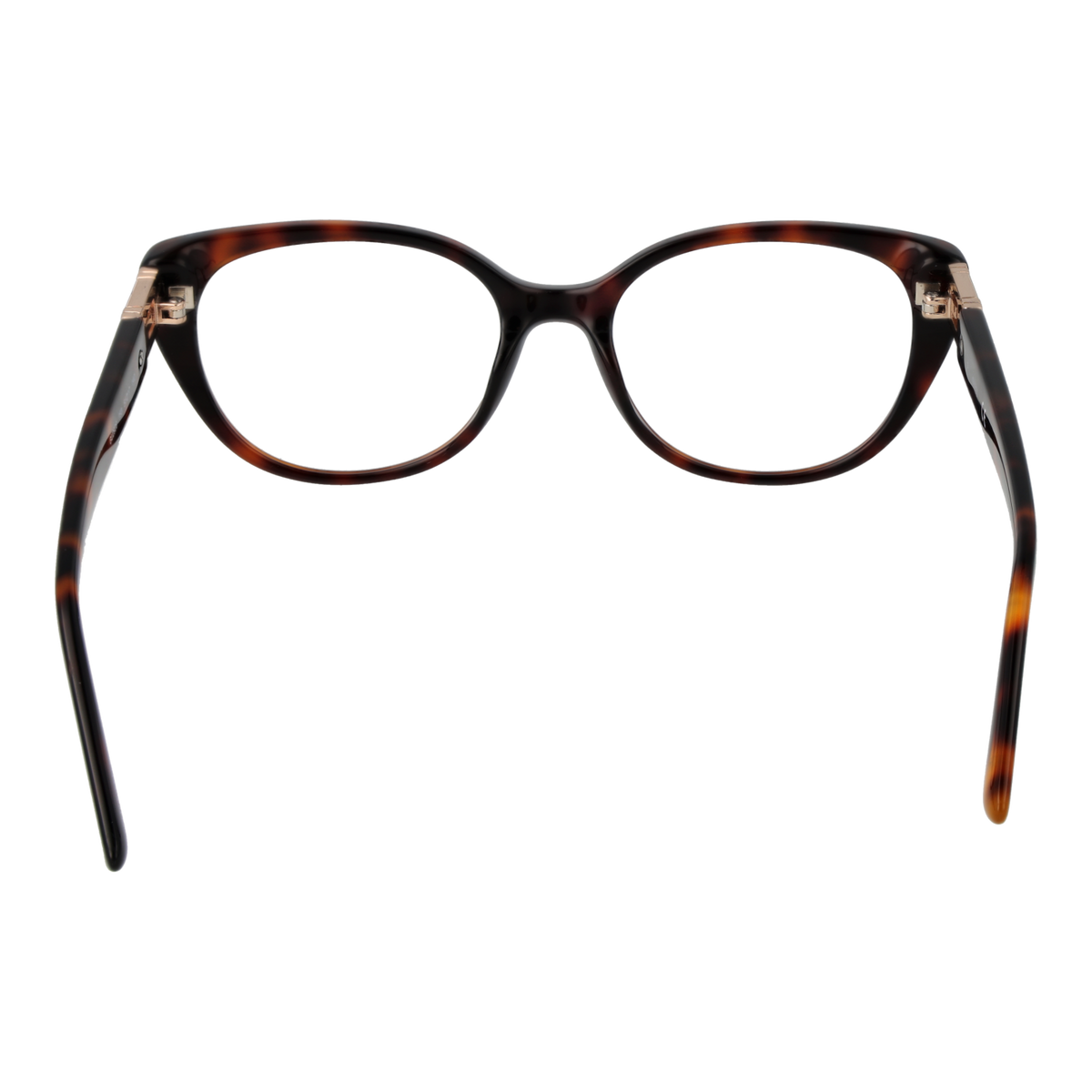Brown/Demo glasses