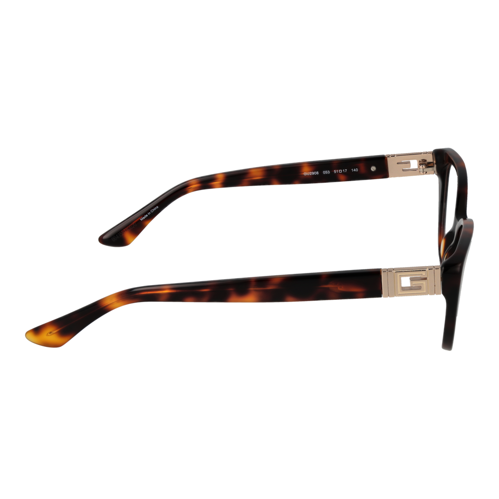 Brown/Demo glasses