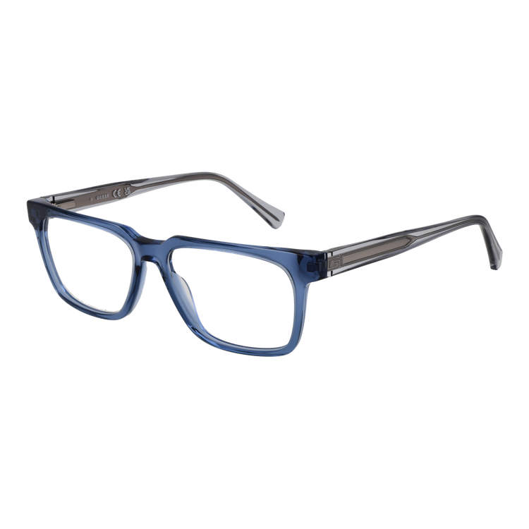 Blue/Demo glasses