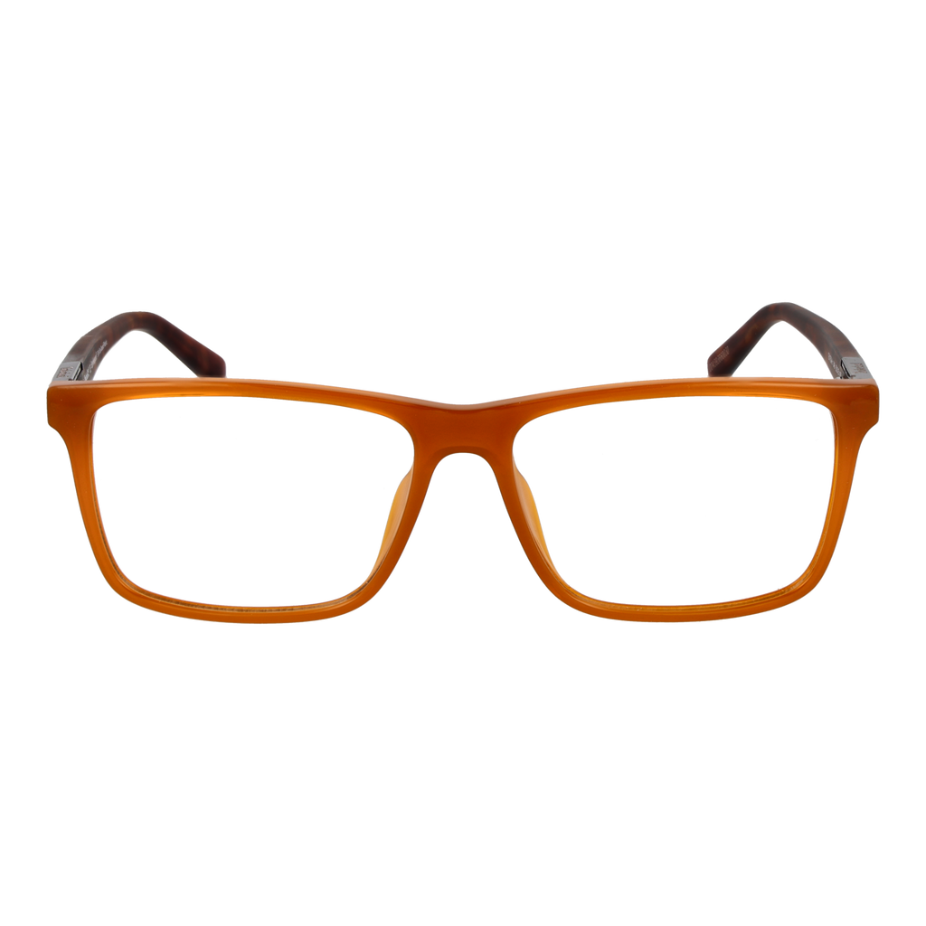 Brown/Demo glasses